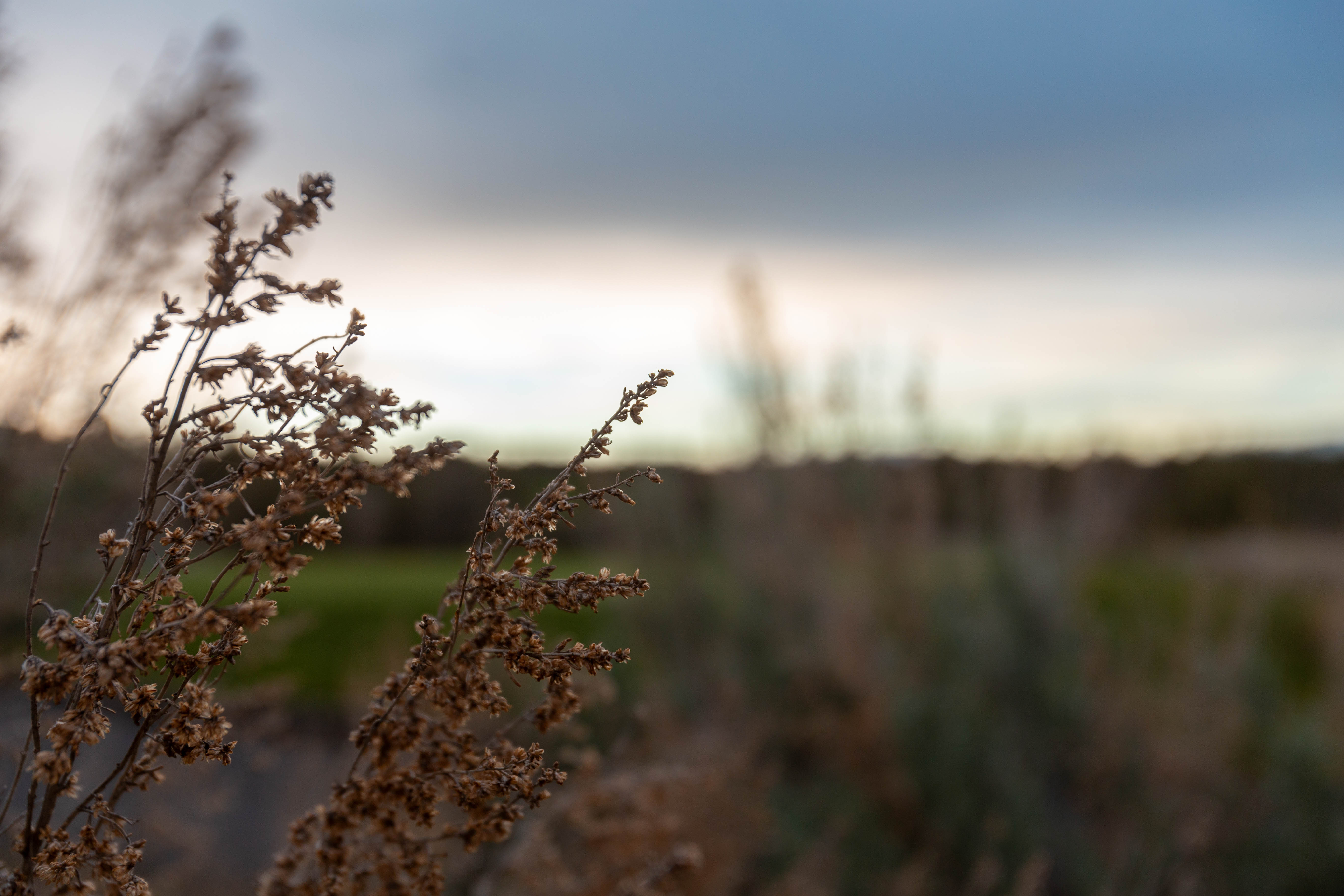 Bend nature